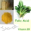 folic acid vitamin b9